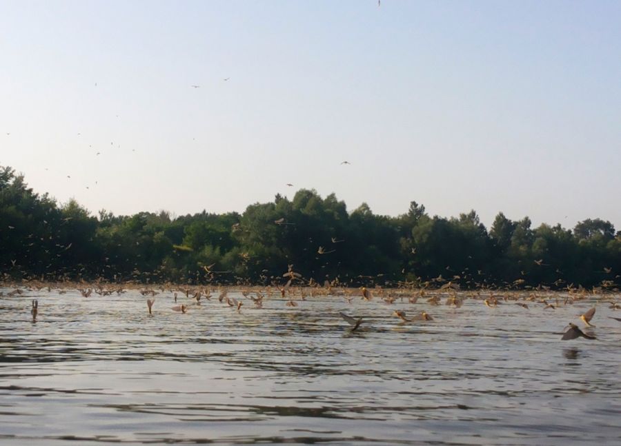 Кадр 1 з Земля: Один вражаючий день