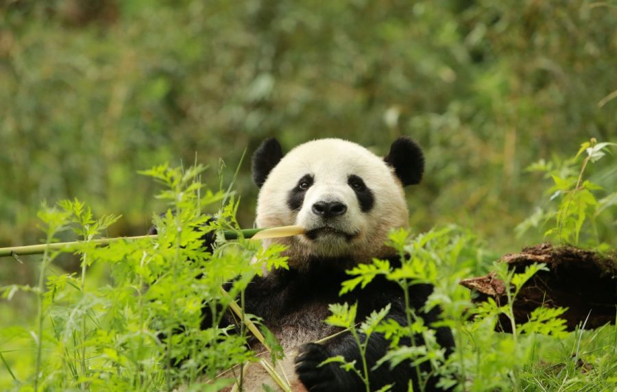 Кадр 3 з Земля: Один вражаючий день