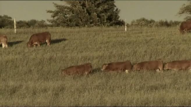Кадр 1 з Земля: Життя без людей