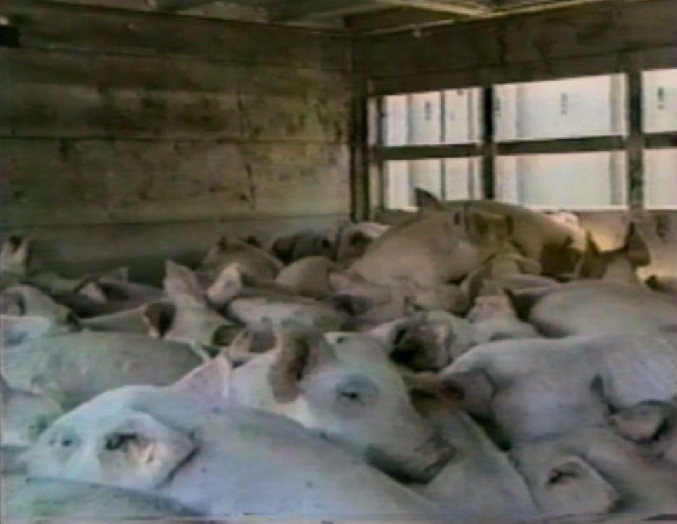 Кадр 2 з Земляни